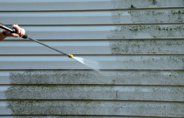 Best Affordable Power Washing  in Mount Vernon, IN